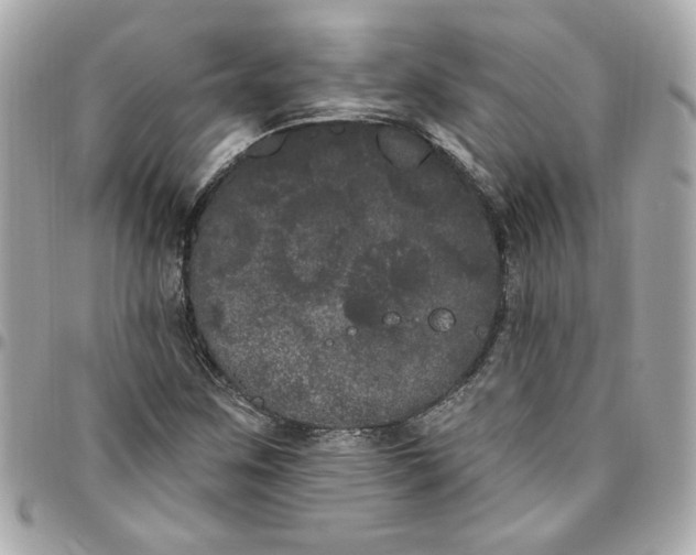 X0000096491259200802071934