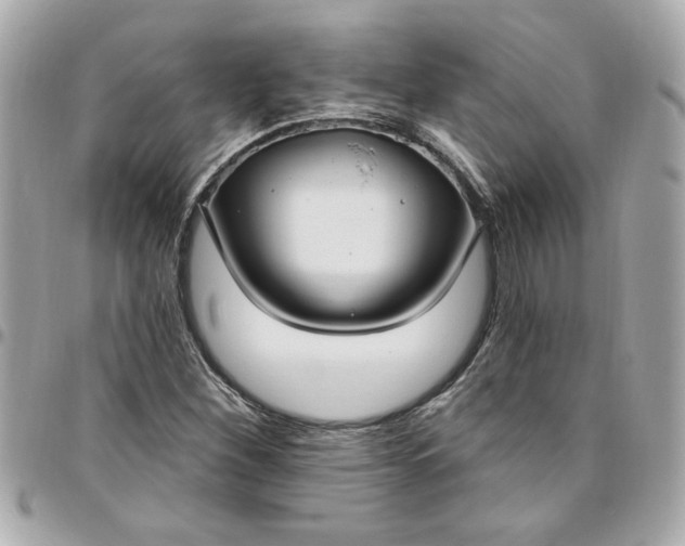 X0000096491260200802071934