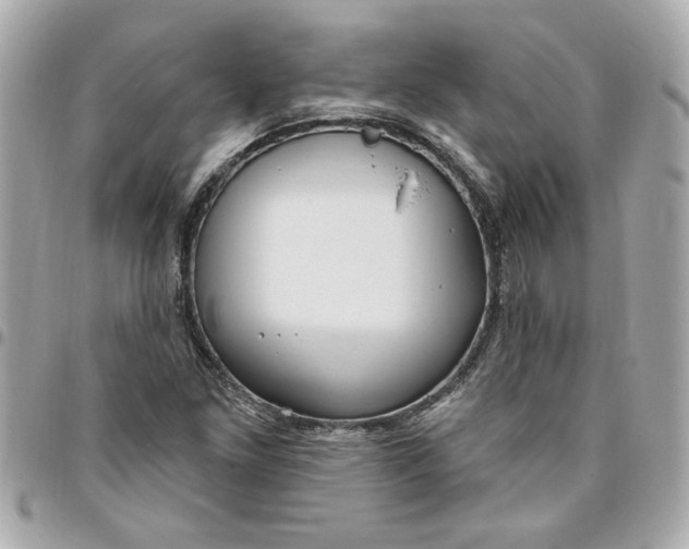 X0000096491261200802071934