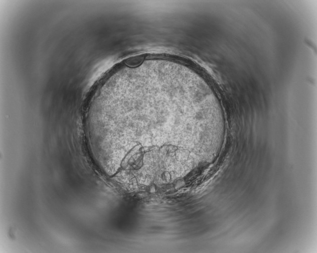 X0000096491263200802071934