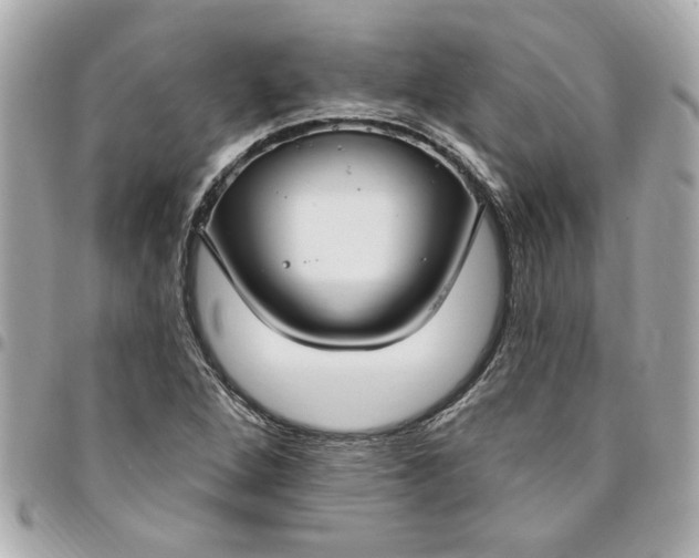 X0000096491264200802071934