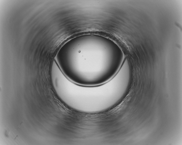 X0000096491265200802071934