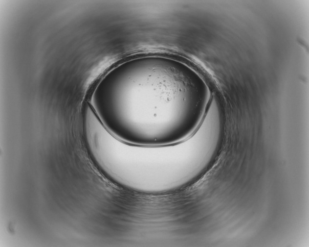 X0000096491269200802071934