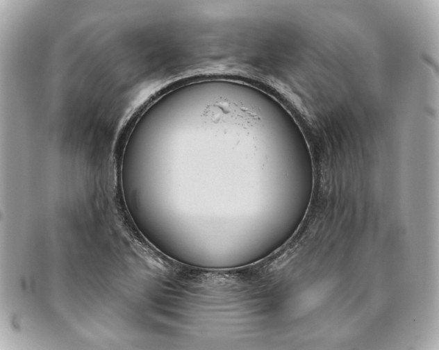 X0000096491270200802071934