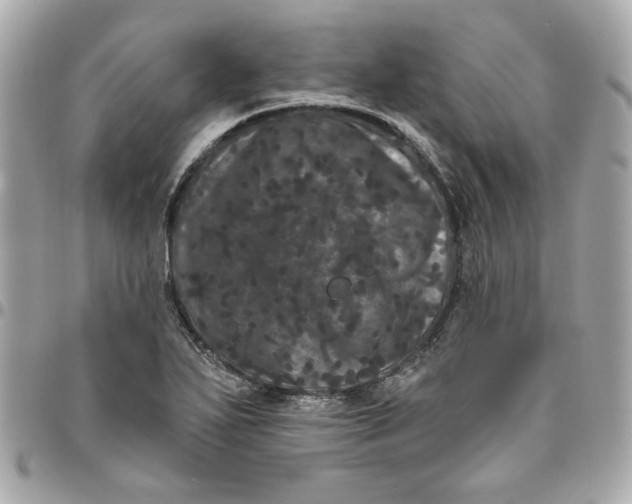 X0000096491271200802071934