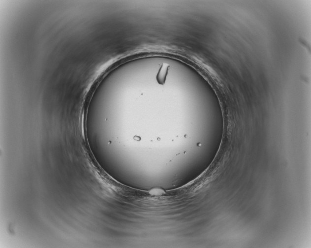 X0000096491272200802071934