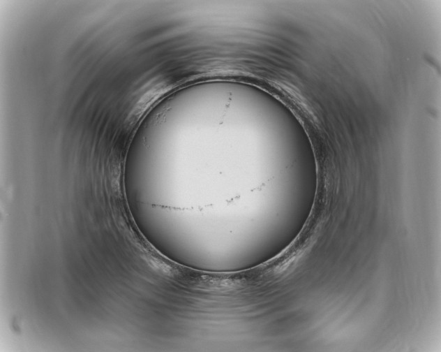 X0000096491273200802071934