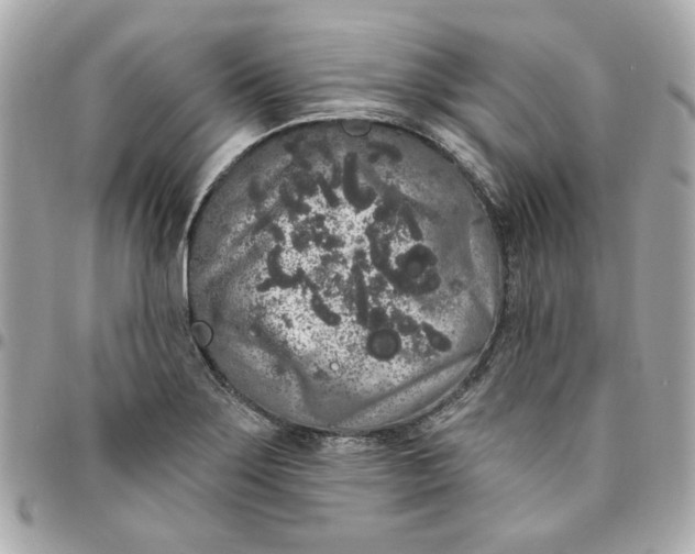 X0000096491275200802071934