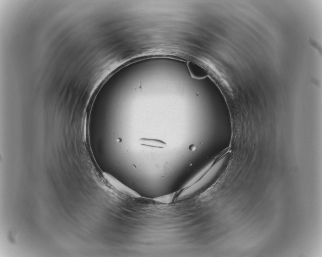 X0000096491276200802071934