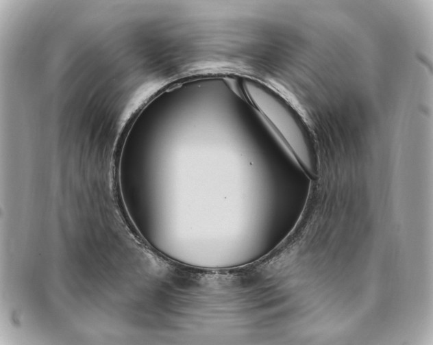 X0000096491277200802071934