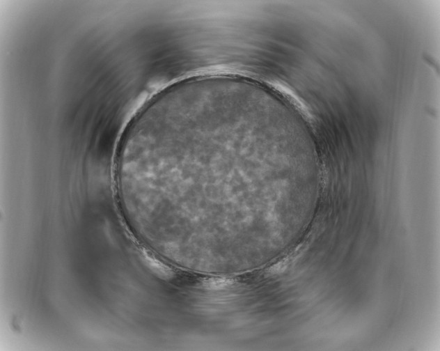 X0000096491278200802071934