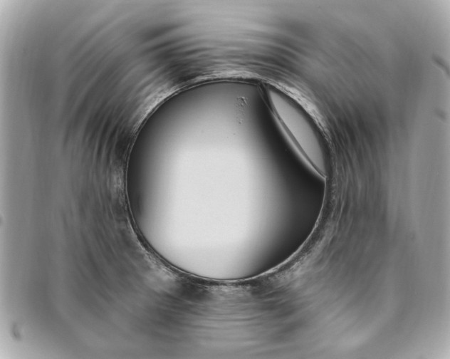 X0000096491281200802071934