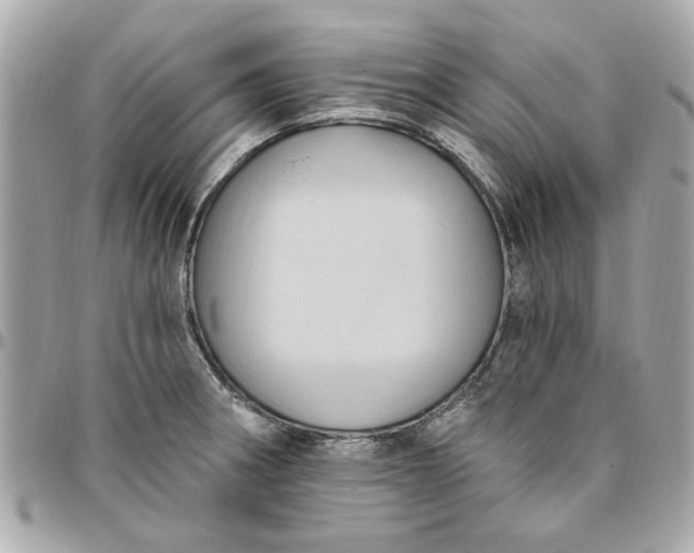 X0000096491282200802071934