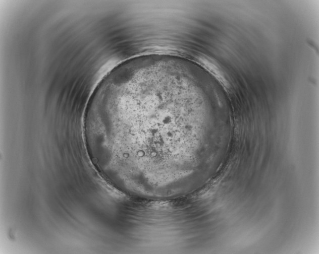 X0000096491283200802071934