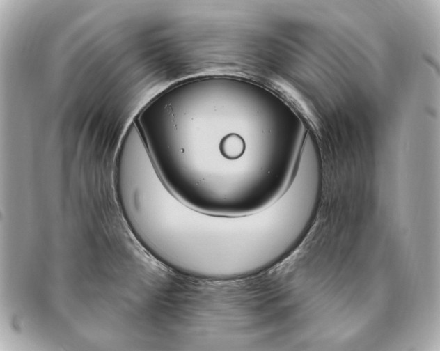 X0000096491284200802071934