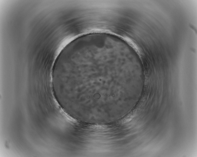 X0000096491287200802071934