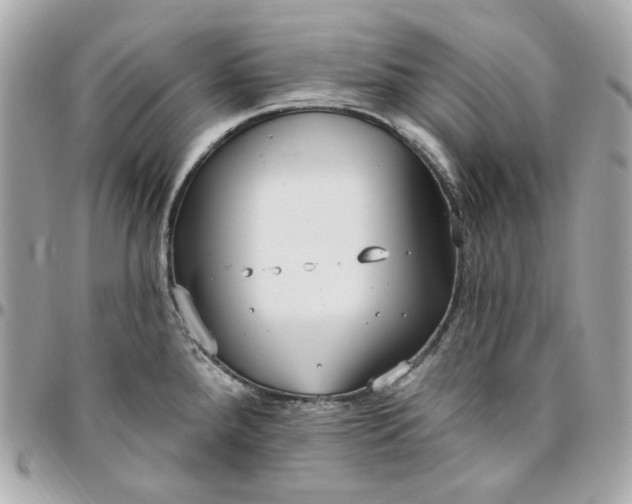 X0000096491288200802071934