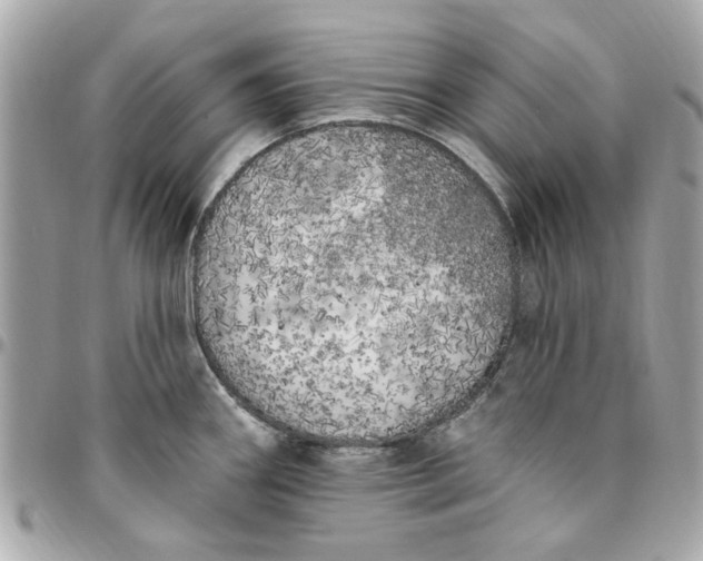 X0000096491290200802071934