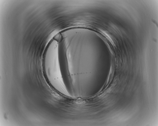 X0000096491291200802071934