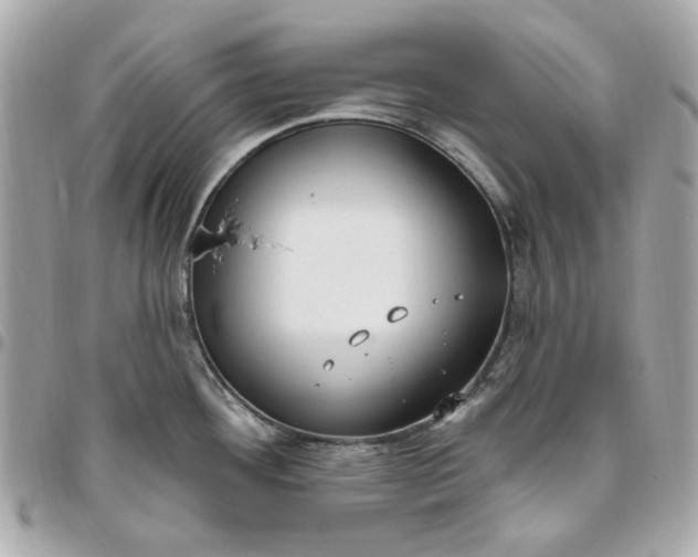 X0000096491292200802071934