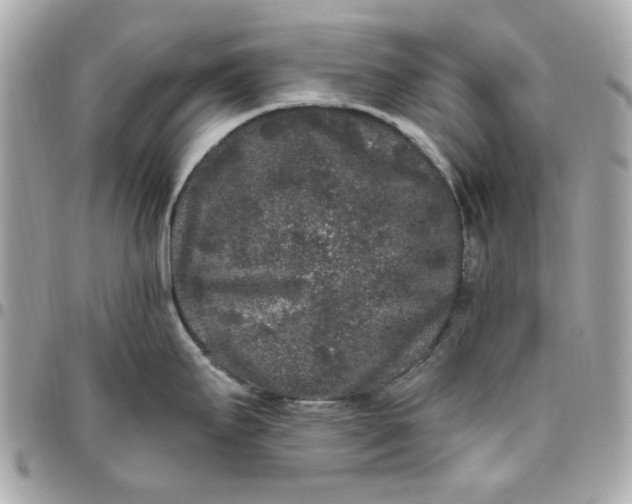 X0000096491295200802071934