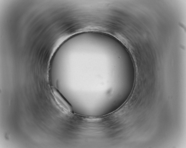 X0000096491296200802071934