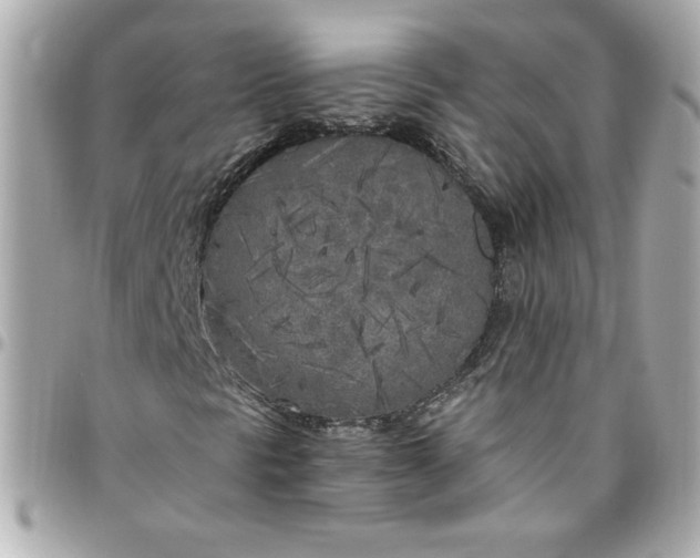 X0000096491297200802071933