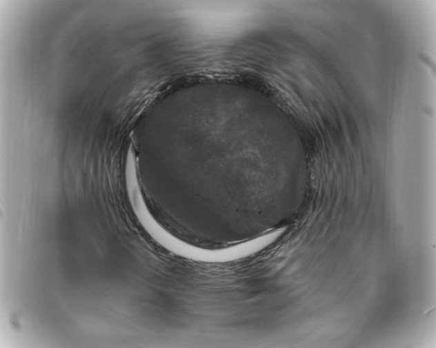 X0000096491298200802071933