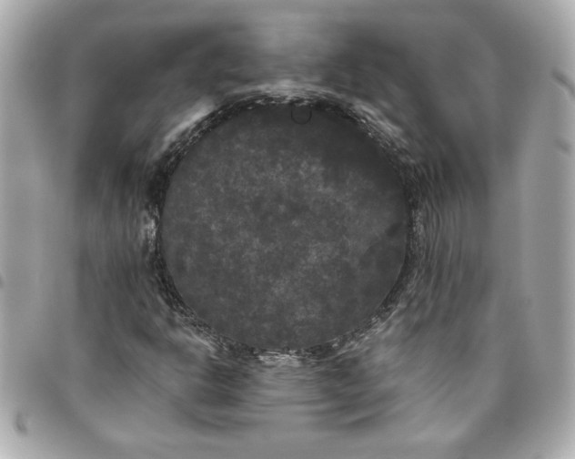 X0000096491302200802071933