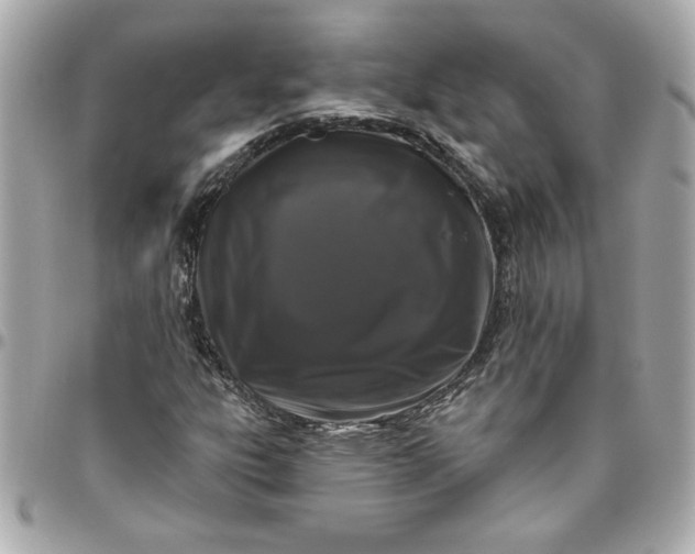 X0000096491303200802071933