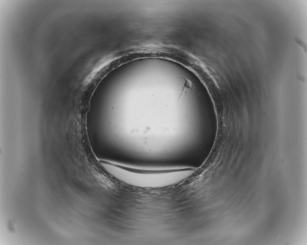 X0000096491304200802071933