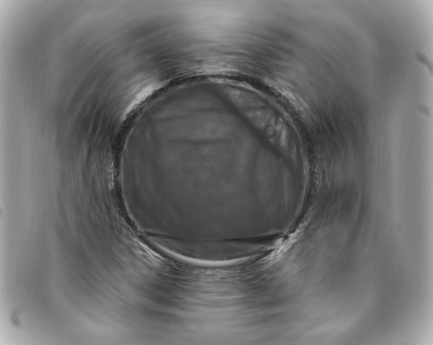 X0000096491306200802071933