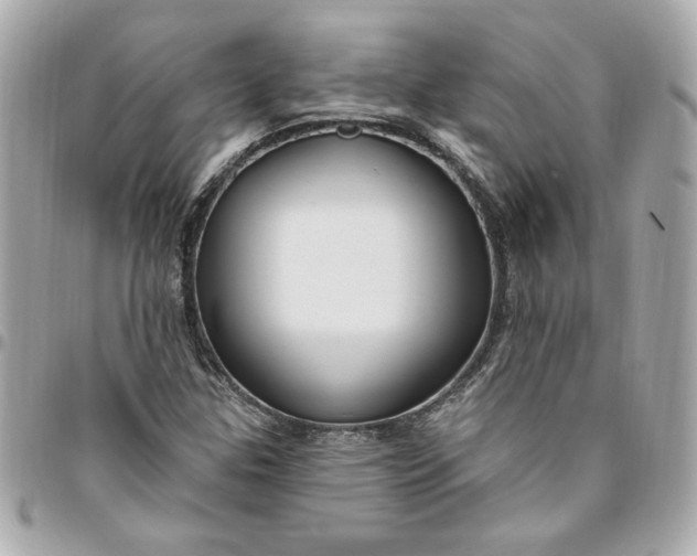 X0000096491307200802071933