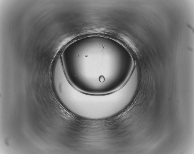 X0000096491308200802071933