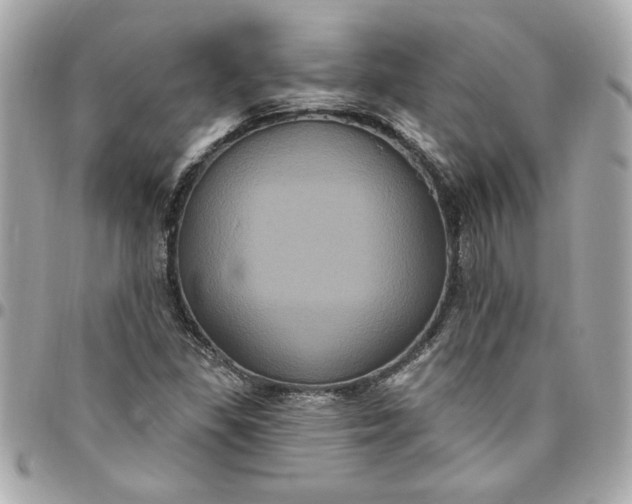 X0000096491309200802071933