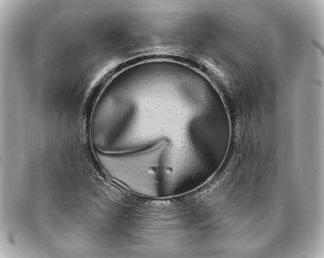 X0000096491310200802071933