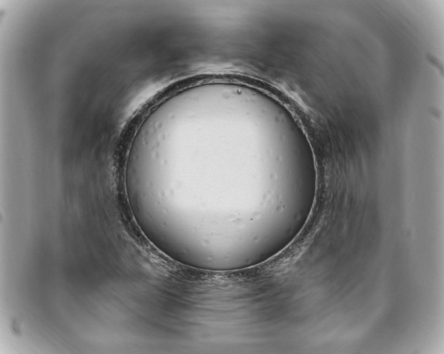 X0000096491311200802071933