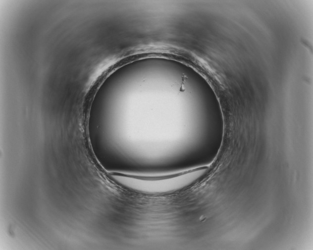 X0000096491312200802071933