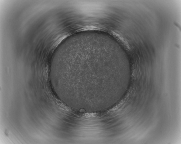 X0000096491313200802071933