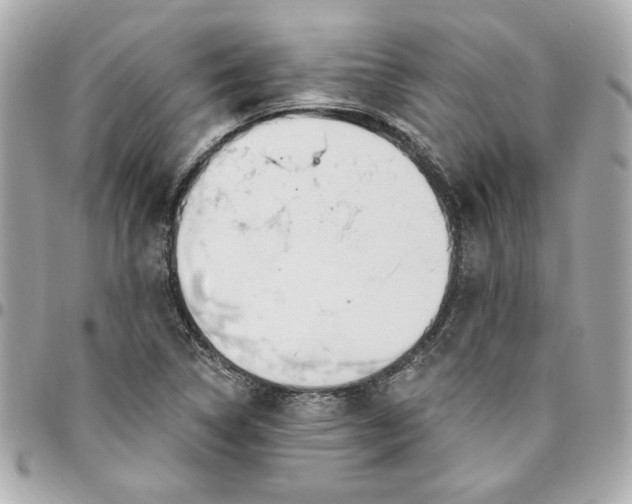 X0000096491314200802071933