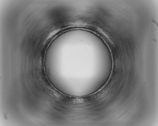 X0000096491315200802071933