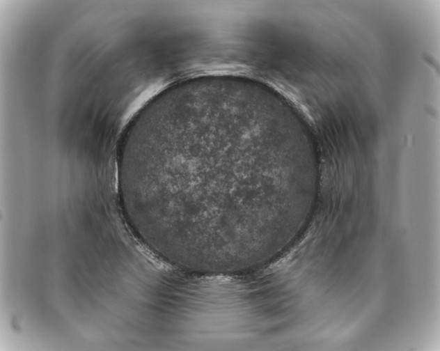 X0000096491317200802071934