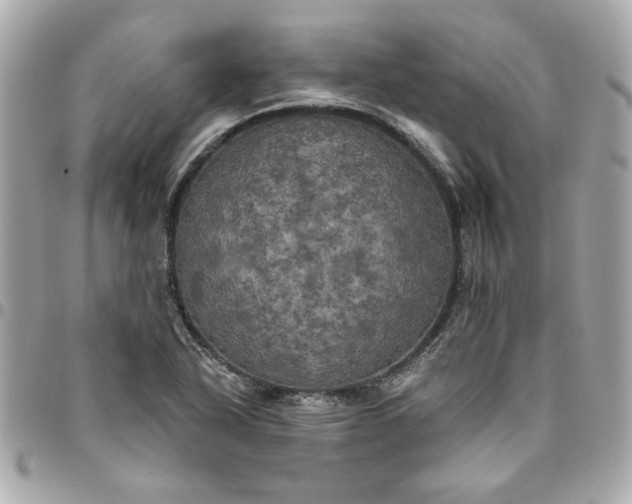 X0000096491318200802071934