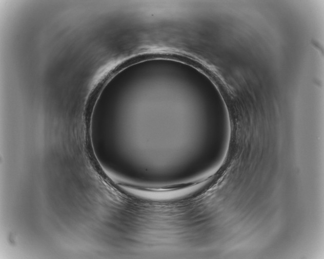 X0000096491319200802071934