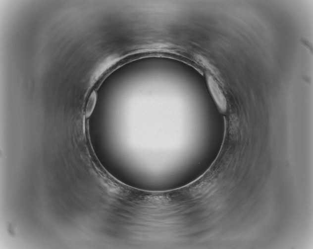 X0000096491320200802071934