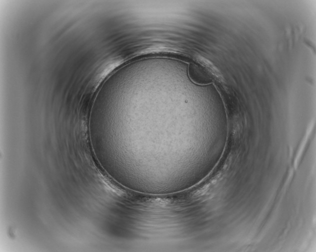 X0000096491321200802071934