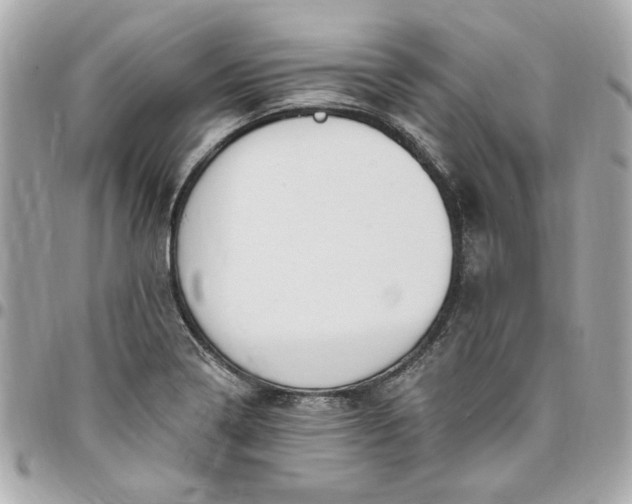 X0000096491322200802071934