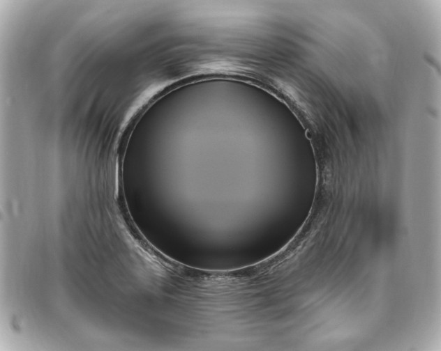 X0000096491323200802071934