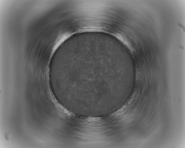 X0000096491325200802071934