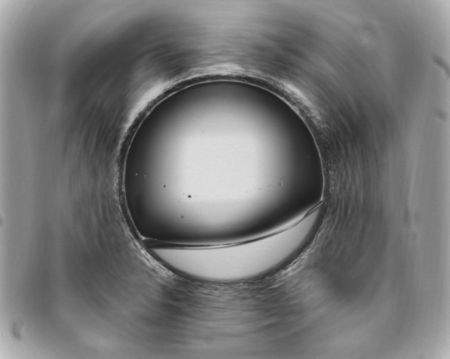 X0000096491326200802071934